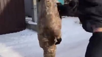 Футболісту Колеснику запропонували служити в ТЦК