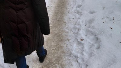 У Львові забули за прибирання вулиці