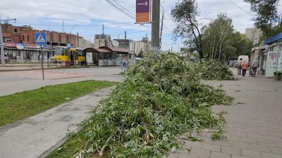 У Львові на Княгині Ольги вітер поламав дерева (ФОТО)