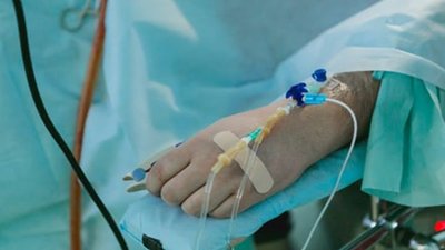Від лептоспірозу у вересні померли двоє мешканців Львівщини