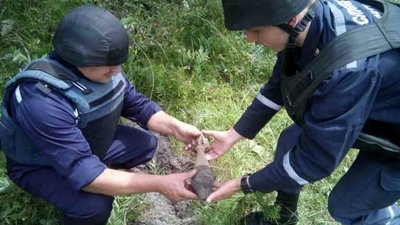 Біля Львова, на випасі худоби, жінка спіткнулася об мінометну міну: місце знахідки взято під охорону