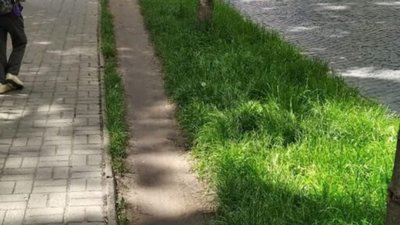 У центрі Львова облаштували велодоріжку
