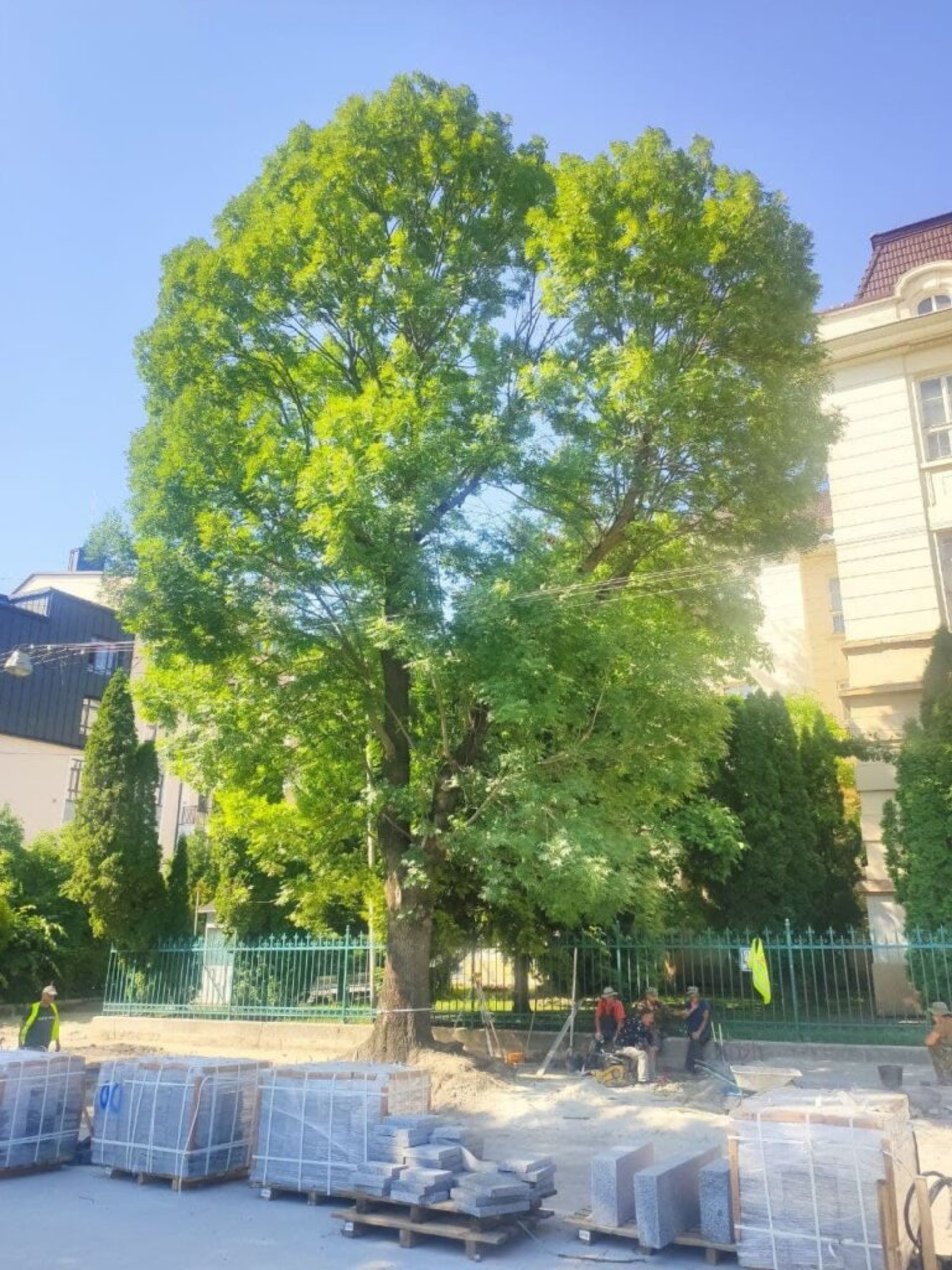 Львівська асоціація велосипедистів задоволена ремонтом вулиці Пекарської, фото ЛАВ
