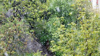 У Львові несподівано випав сніг (ФОТО, ВІДЕО)