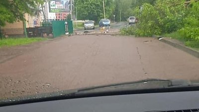 У Винниках вітер повалив дерево і стовп (ФОТО)