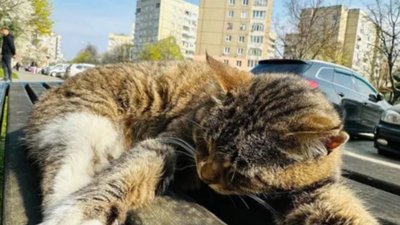 У Львові у спальному районі виник скандал через елементи доступності (ФОТО)