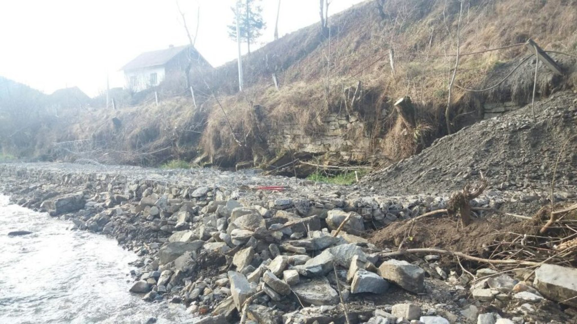 Фото: ЛОДА