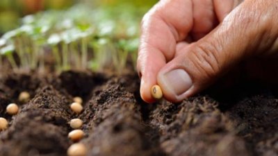 Аграрії Львівщини планують збільшити посівну площу на понад 1000 гектарів