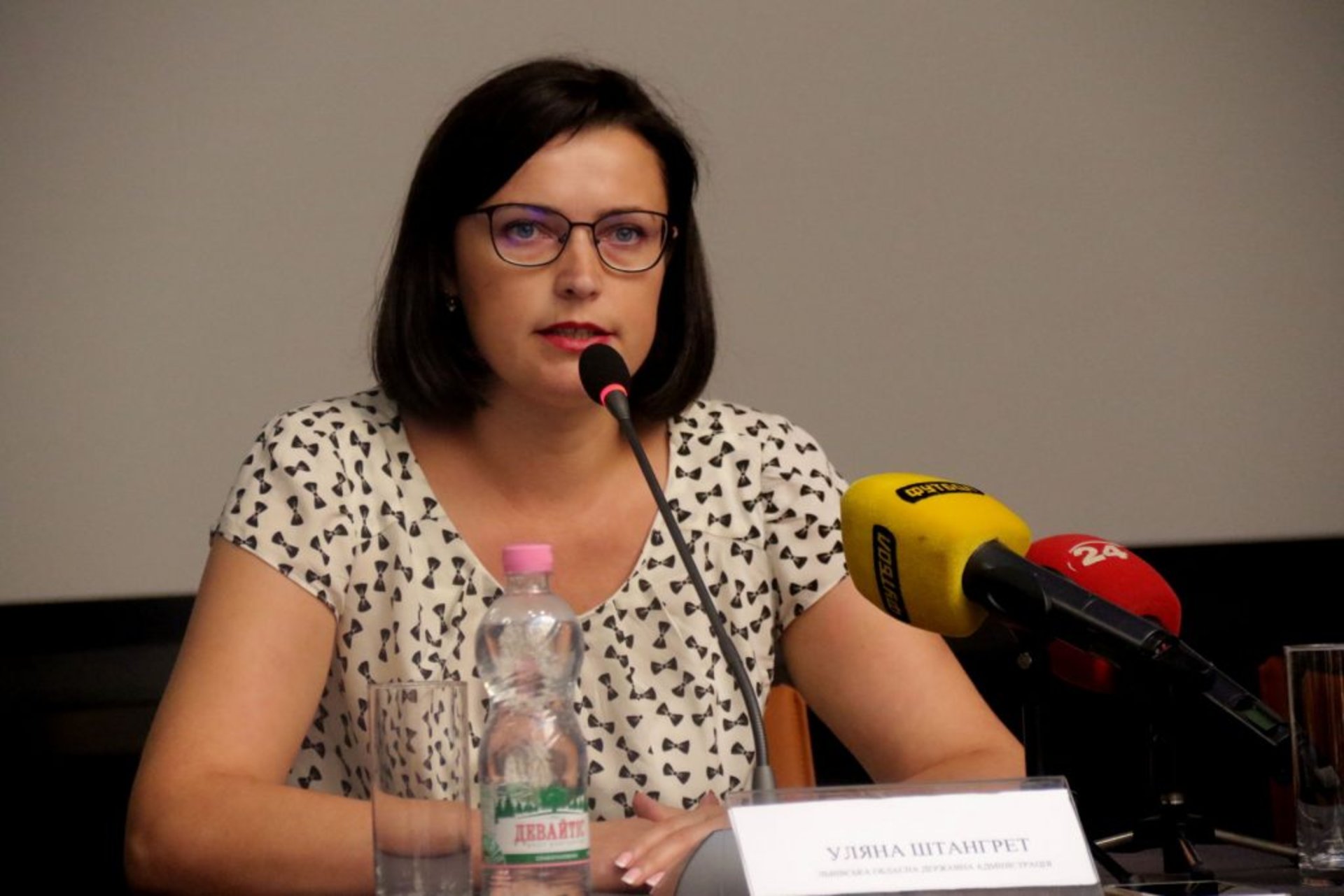 Прес-конференція з нагоди організації фан-зони біля «Арени-Львів»