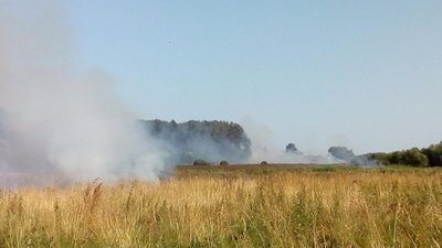 У Львові очікують поривів вітру