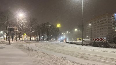 У Львові цілу ніч падатиме сніг