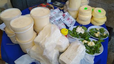 На Львівщині розпочався Перший молочний форум