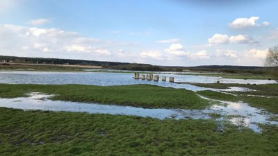 У Яворівському районі річка затопила пасовище (ФОТО)