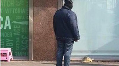 Італійку оштрафували за вигул черепахи