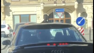 У центрі Львова регулювальник здивував своєю поведінкою (ВІДЕО)