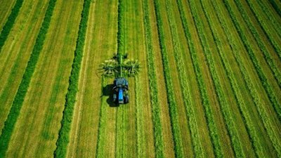 На Львівщині 12 січня відбудуться електронні земельні аукціони