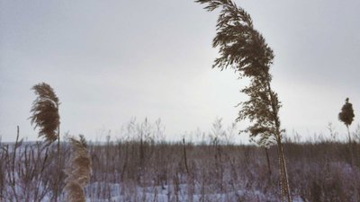 На Львівщині знайшли мертвим безвісти зниклого юнака з Червонограда
