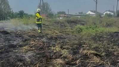 На Львівщині за добу 36 разів палили суху траву