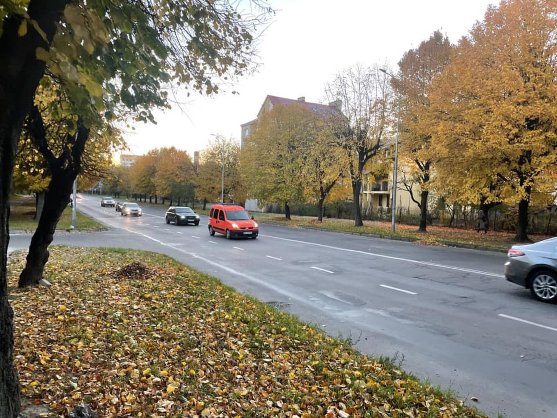 У Львові на Богдана Хмельницького пропонують перенести пішохідні переходи, фото партія Варта