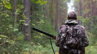 На Львівщині браконьєри відкрили вогонь по авто лісничого
