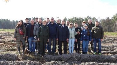 До Міжнародного дня лісу на Жовківщині висадили нові дерева