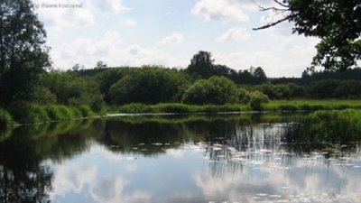 Львівська ОДА оголосила аукціон  на оренду  трьох ставків