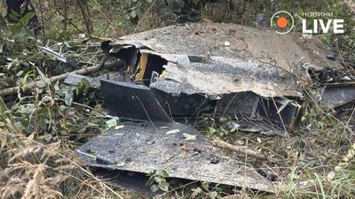 Біля Львова знайшли уламки ворожого БпЛА
