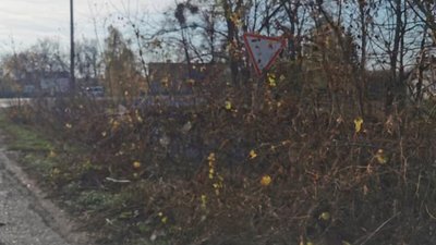 На Львівщині після жахливої ДТП копи взялись за «смертельне» перехрестя (ВІДЕО)