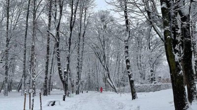 У Львові закликають уникати прогулянок у парках (ФОТО)