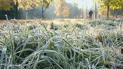 На Львівщині повідомляють про заморозки