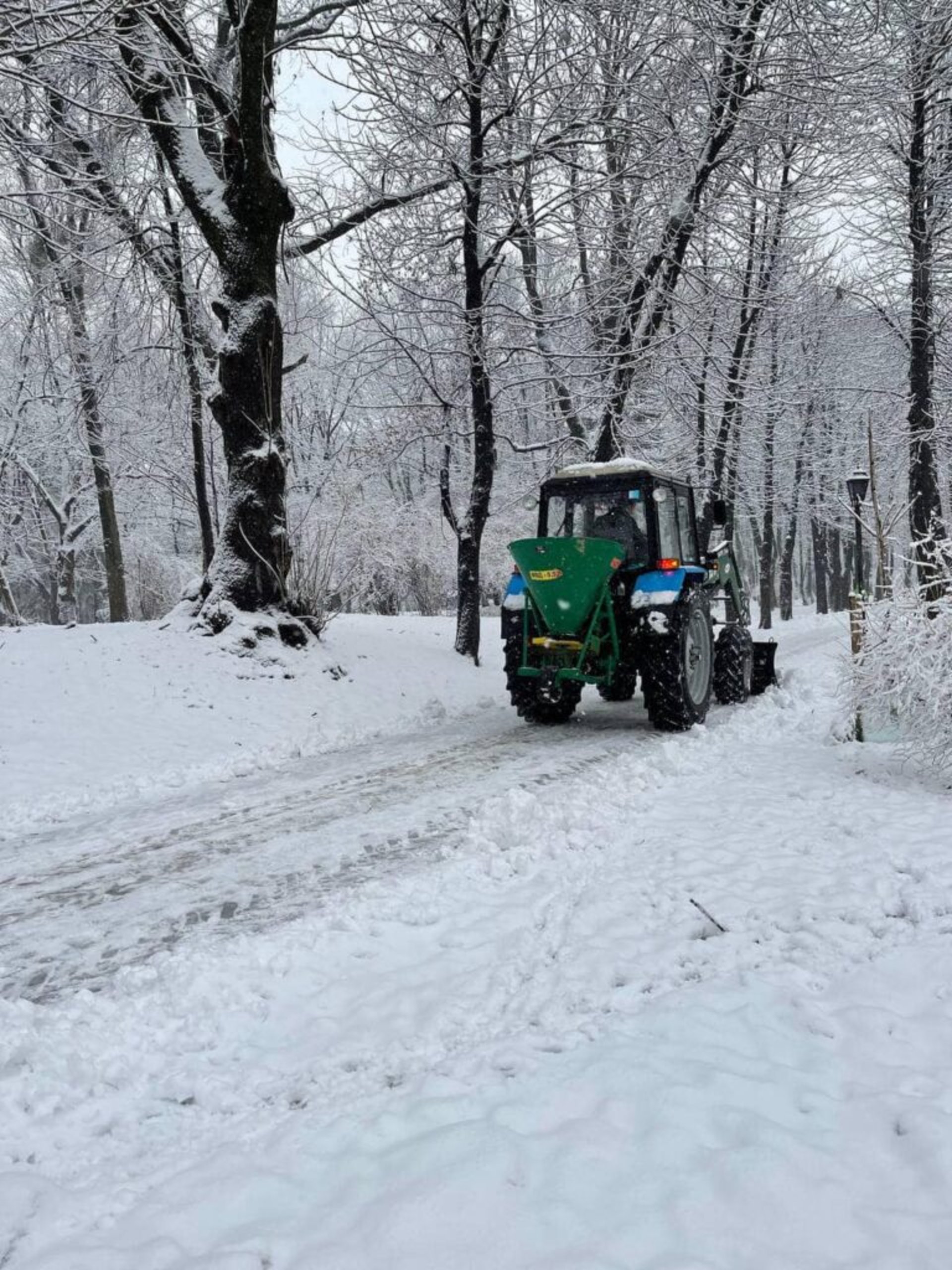 У Львові закликають уникати прогулянок у парках, фото Стрийського парку
